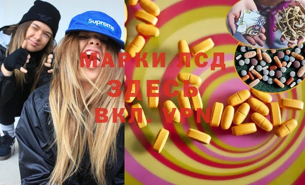 гидра Тайга