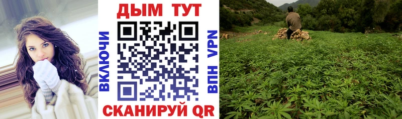 Бошки Шишки SATIVA & INDICA  Михайловка 